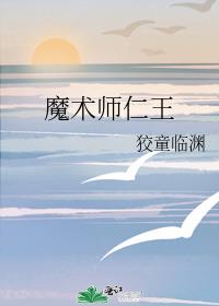 ħ��ʦ����