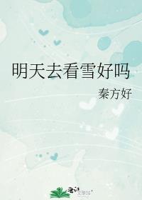 ����ȥ��ѩ����