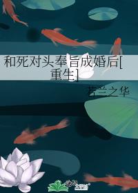 ������ͷ��ּ�ɻ��[����]