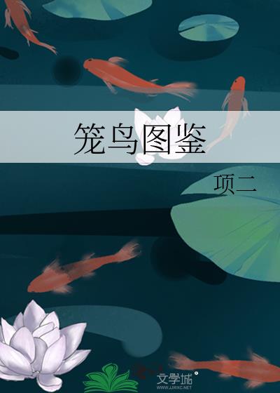 ����ͼ��