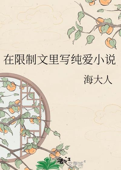 ����������д����С˵