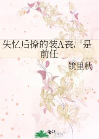 ʧ����õ�װAɥʬ��ǰ��